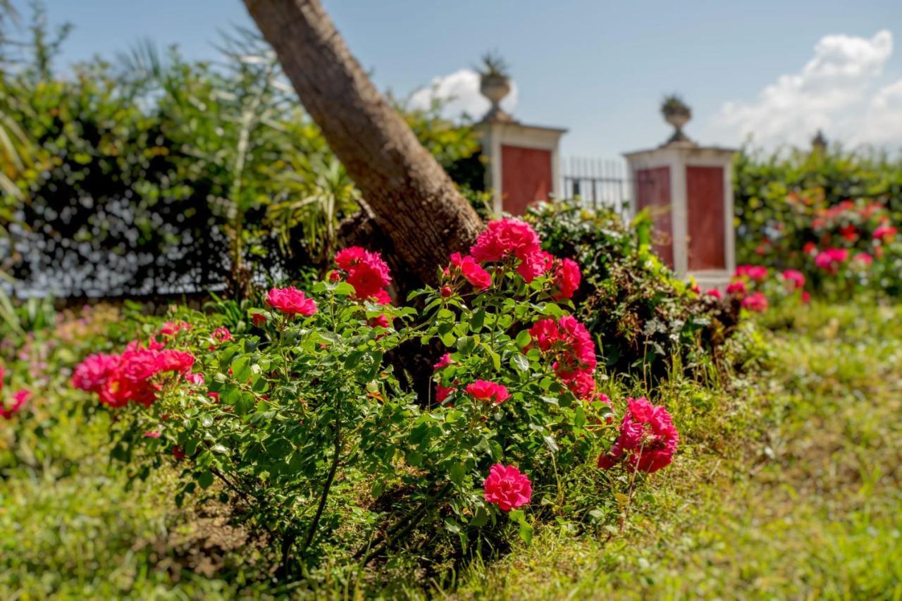 카스텔라마레디스타비아 Relais Al Castello B&B 외부 사진
